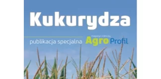 Kukurydza publikacja specjalna Agro Profil