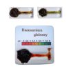 Kwasomierz glebowy próbki reakcji