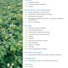 Wydanie tematyczne Agro Profil Ziemniak 2021 spis treści