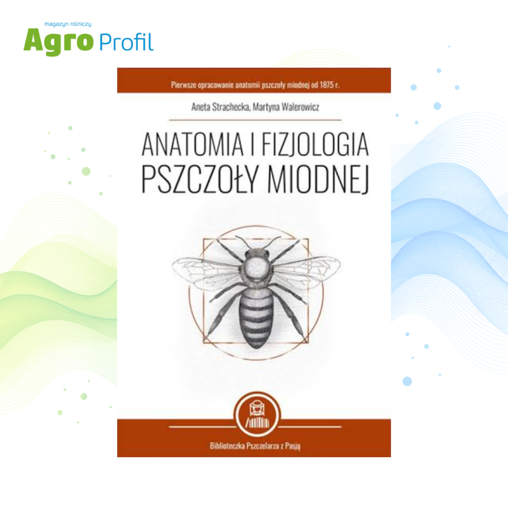 Anatomia i fizjologia pszczoły miodnej