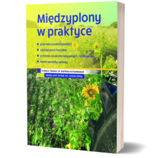 Międzyplony w praktyce