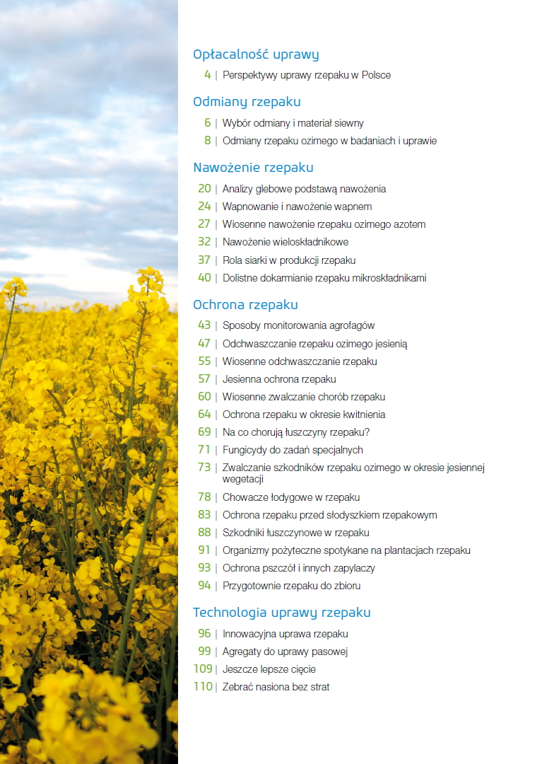 Rzepak - uprawa, odmiany, nawożenie, ochrona, zbiór - obrazek 2