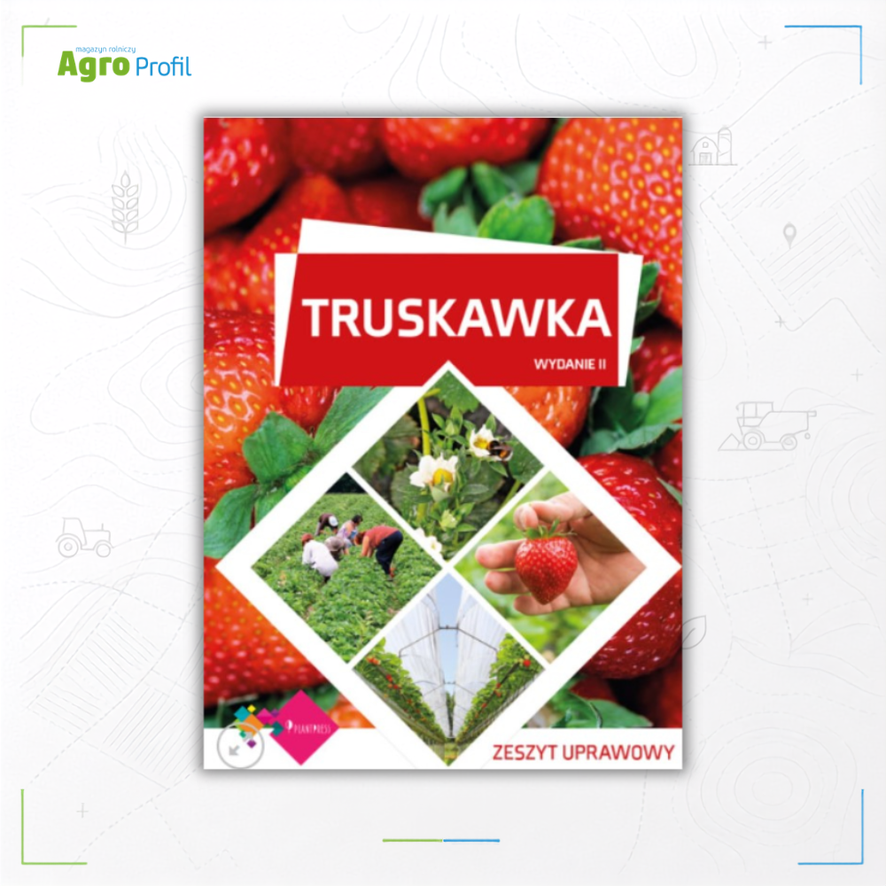 Truskawka