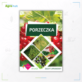 Porzeczka