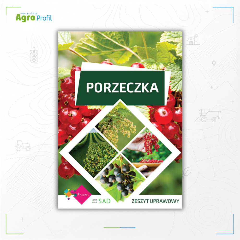 Porzeczka