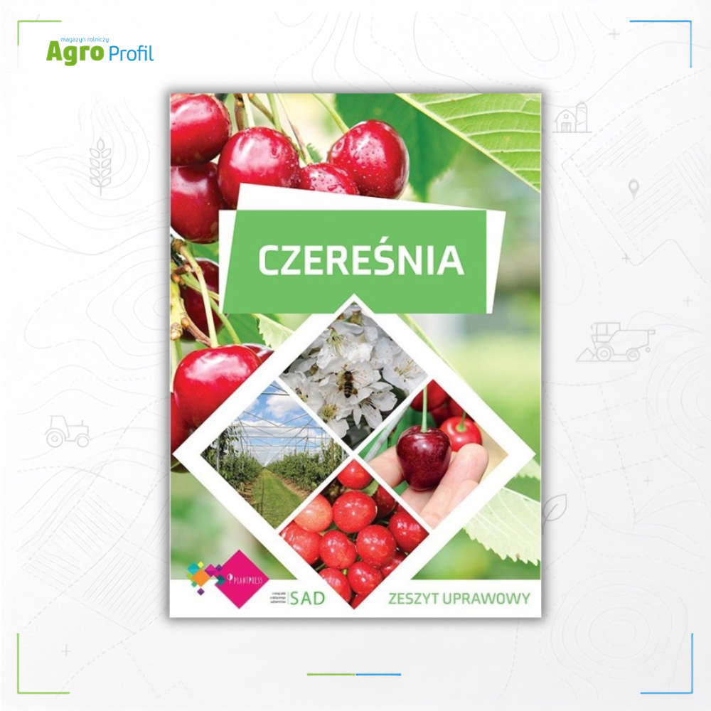 czereśnia