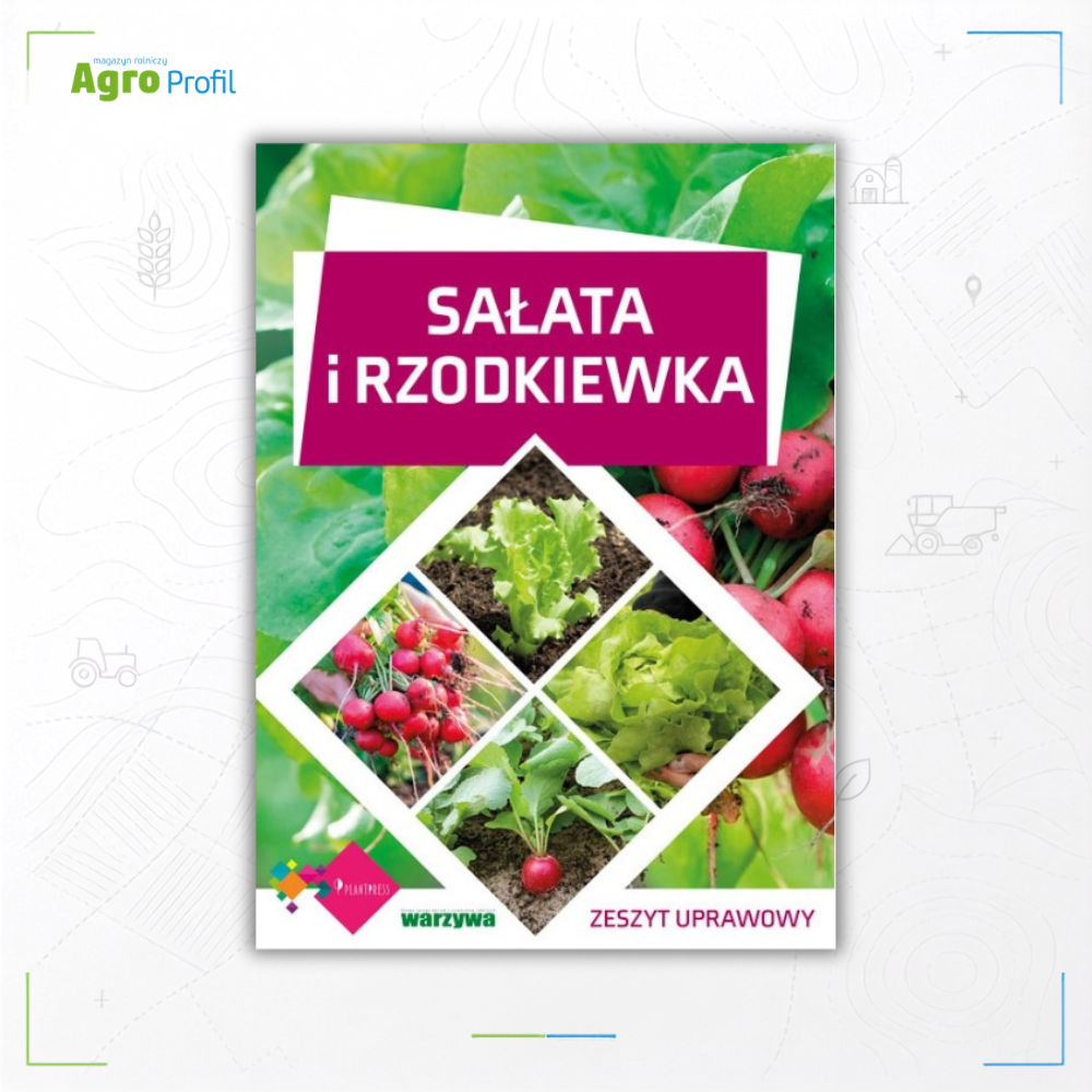 Sałata i rzodkiewka