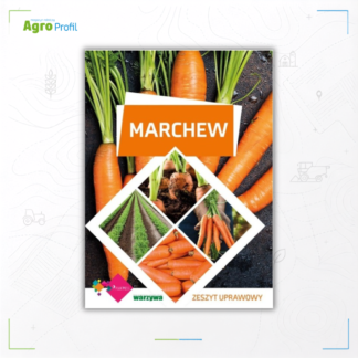 marchew
