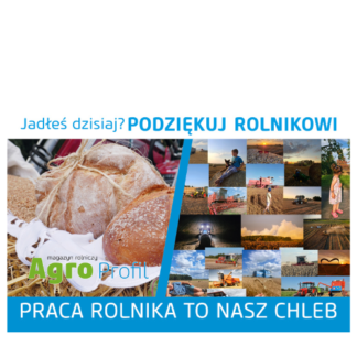 Kalendarz trójdzielny