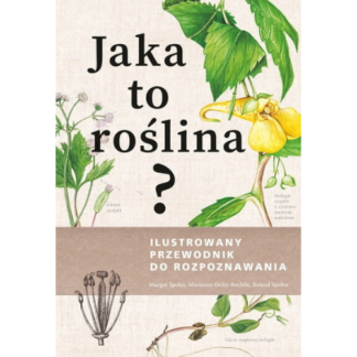 Jaka to roślina
