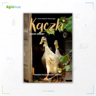 kaczki