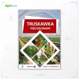 Truskawka