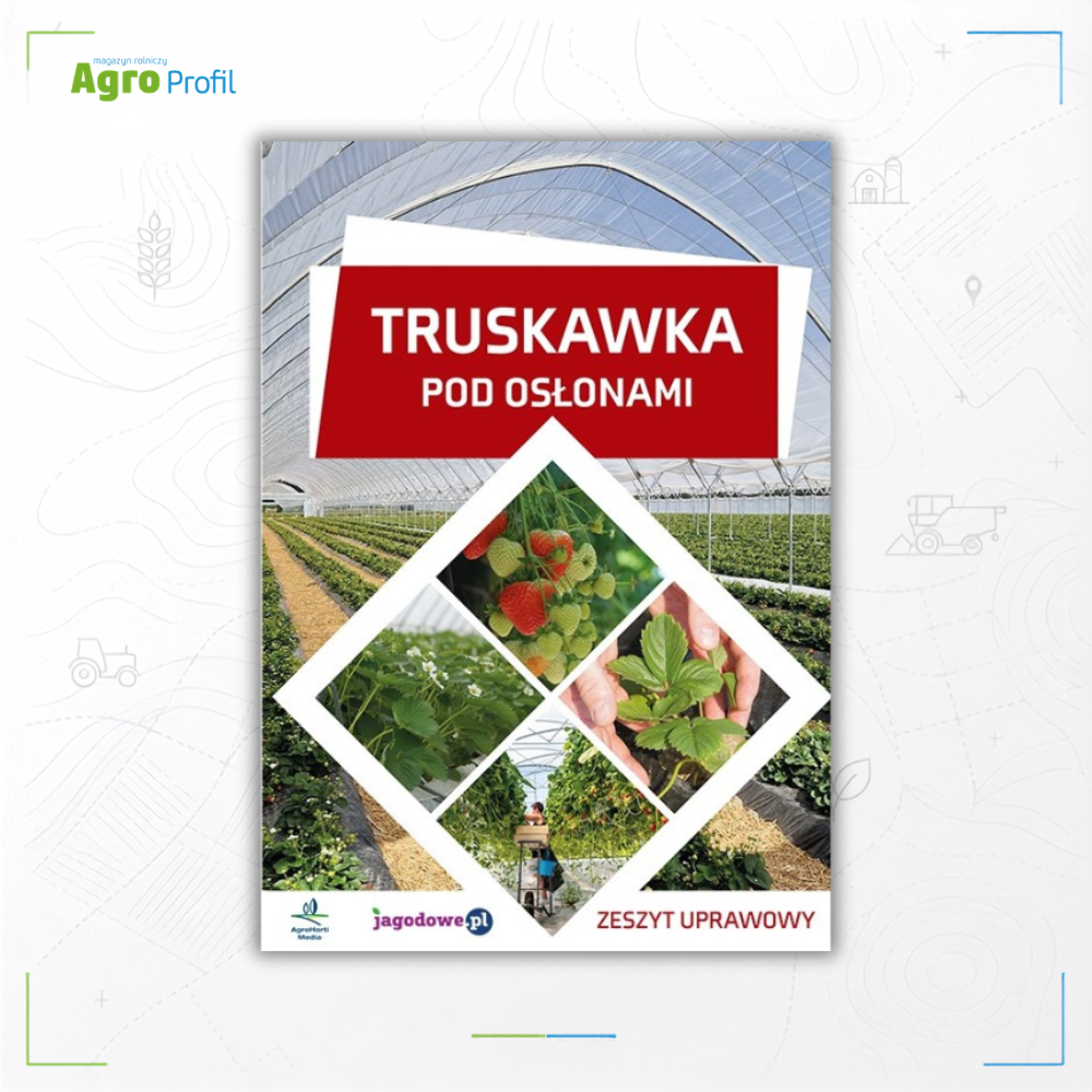 Truskawka