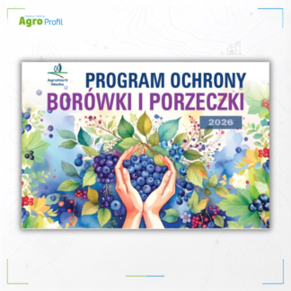 borówki