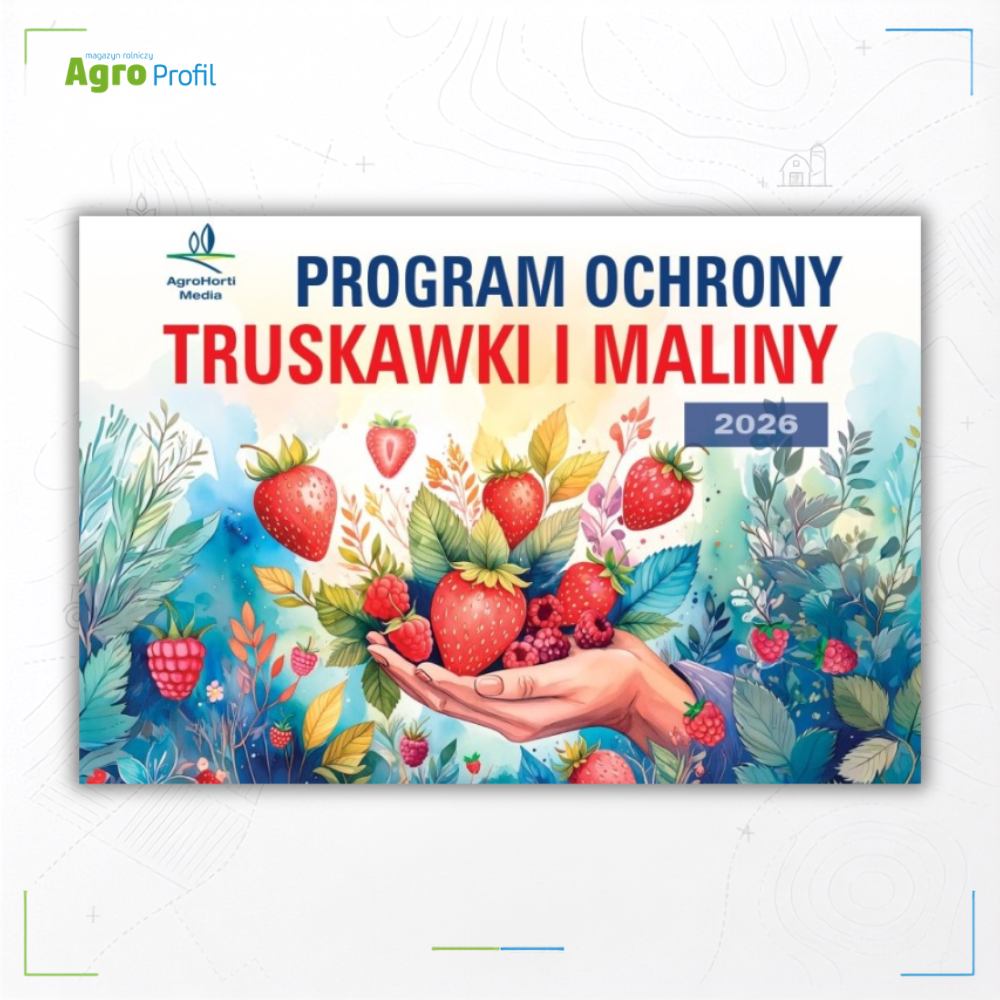 truskawka