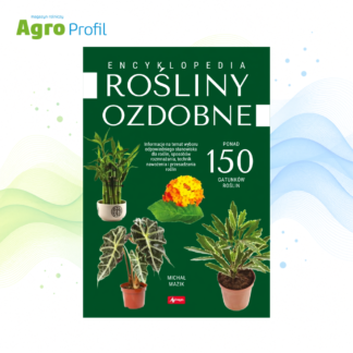 Rośliny ozdobne