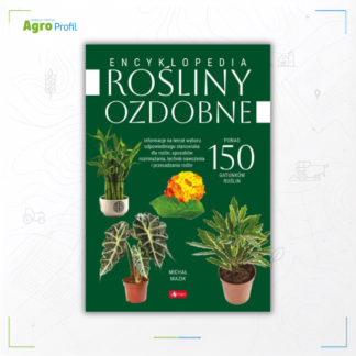 Rośliny ozdobne