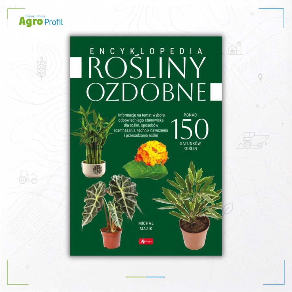 Rośliny ozdobne