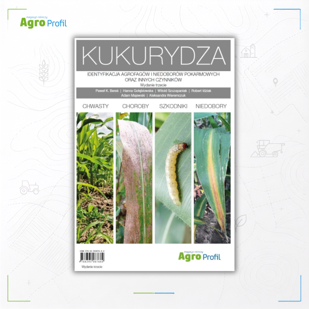 kukurydza