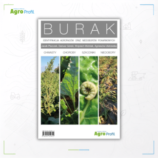 burak