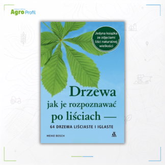 Drzewa