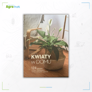 Kwiaty w domu