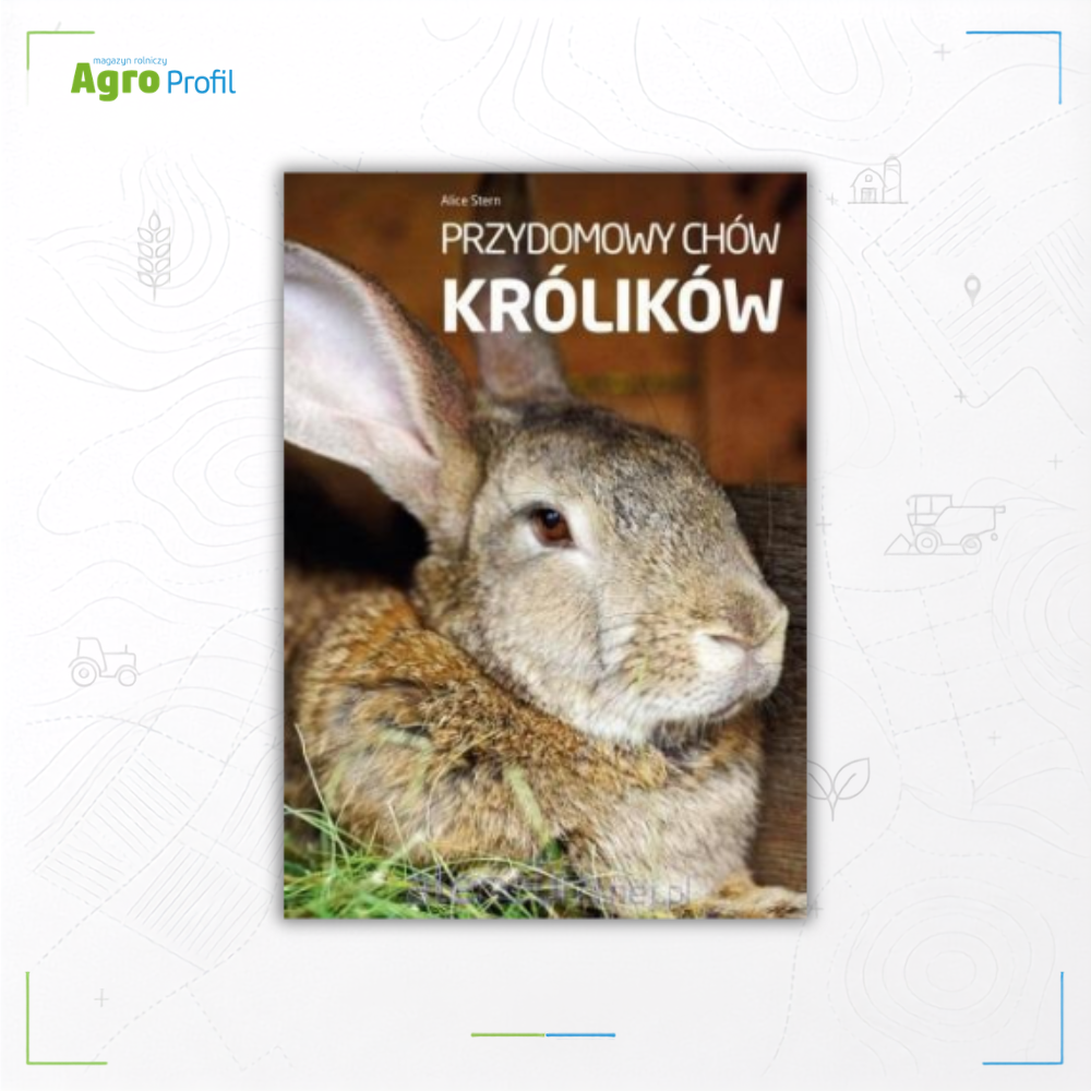 Przydomowy chów królików