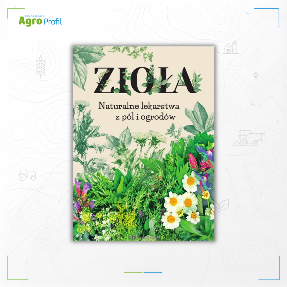 ZIOŁA. Naturalne lekarstwa z pól i ogrodów